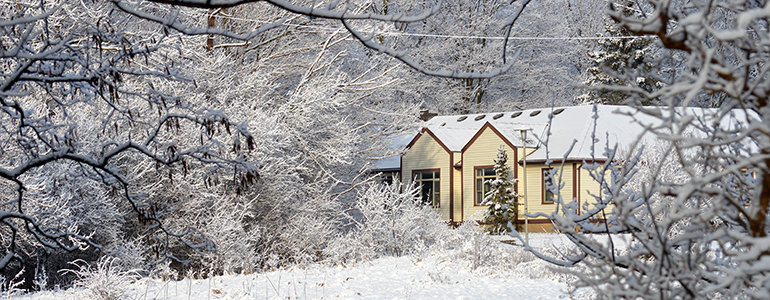 Photo of the Bruce Pavilion in winter