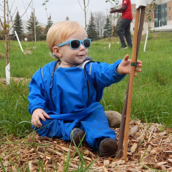 Infant with sunglasses holding a newly planted tree by the trunk